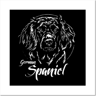 Proud German Spaniel dog portrait hunting dog Posters and Art